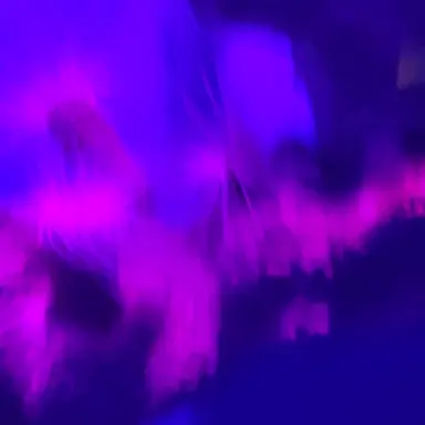 Profile image of 시노부