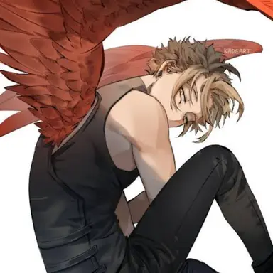 Profile image of Hawks