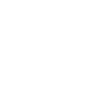 Profile image of 타코