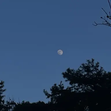 Profile image of 지한