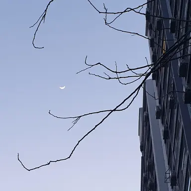 Profile image of 존 피트