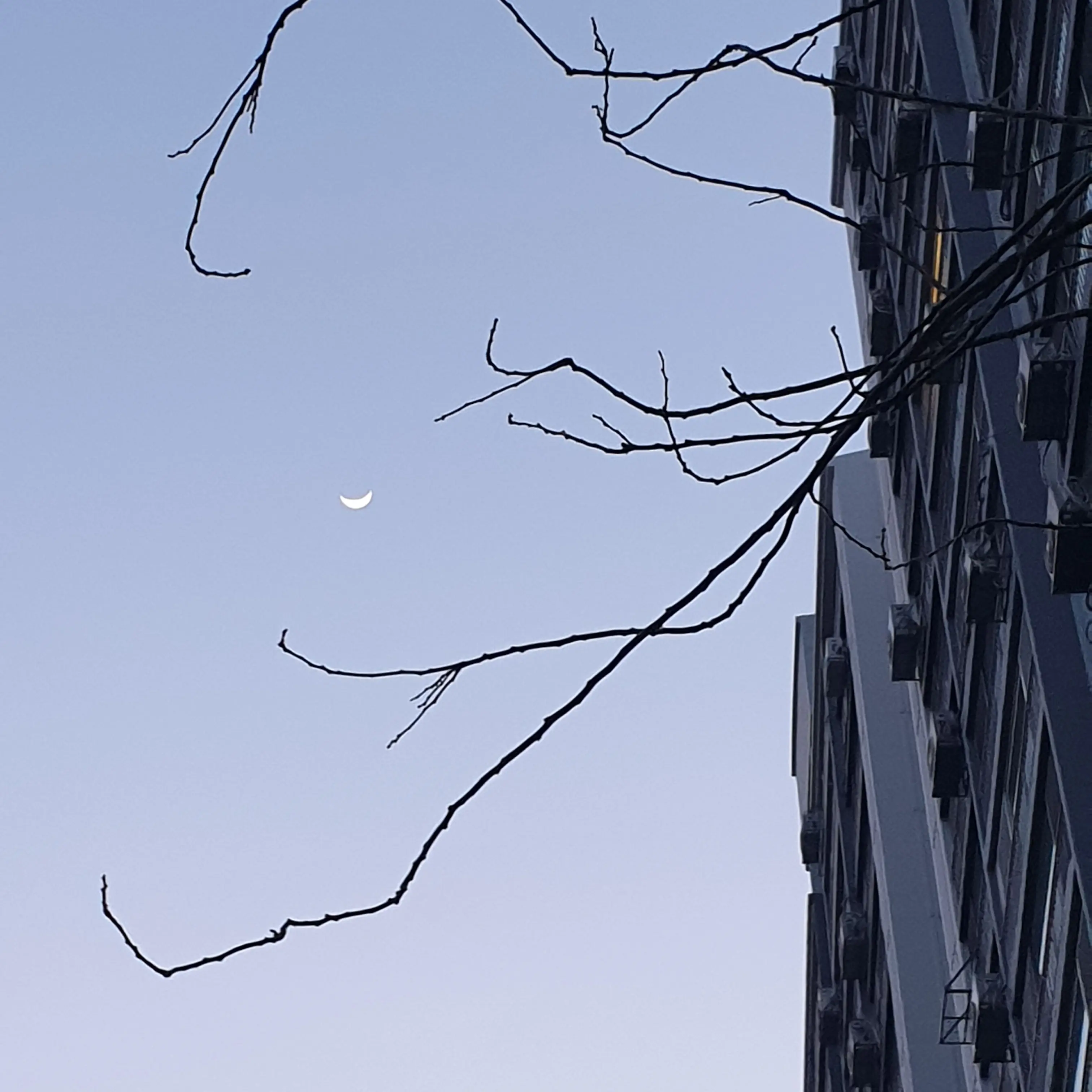 SimpleTank5144의 레드아이 다국적전투비행단