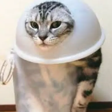 Profile image of 이모