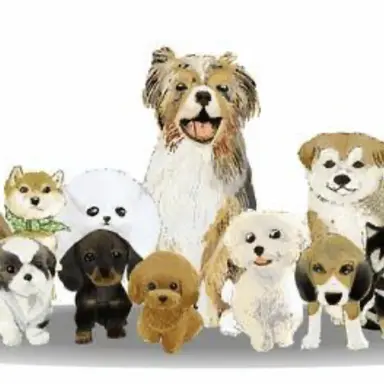 Profile image of 犬