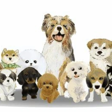 犬