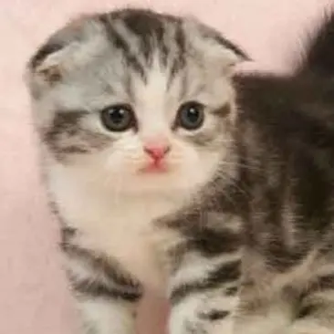 Profile image of 이민호