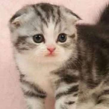 이민호