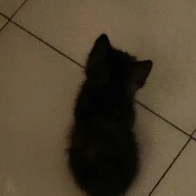 Profile image of 서의현