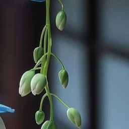 한지훈