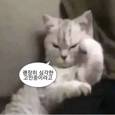 Profile image of 여우