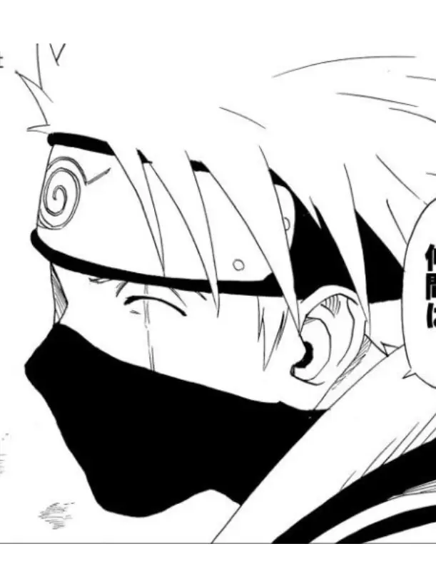 4729373719의 하타케 카카시