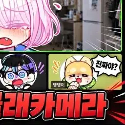 Profile image of 댕댕이