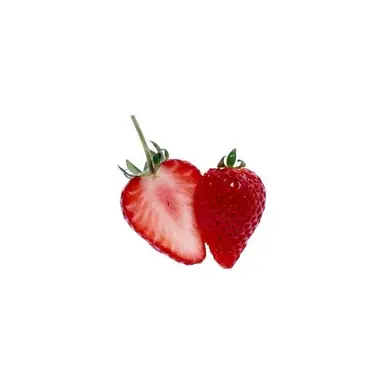 Profile image of フーゴ