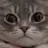 냥냥이