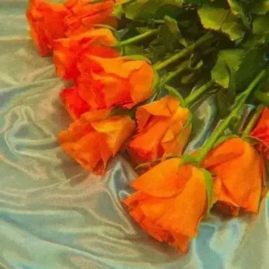 Profile image of 하루토