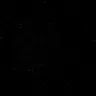 Profile image of 新人