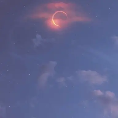 Profile image of 칼리엔