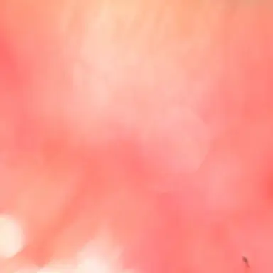 Profile image of 業