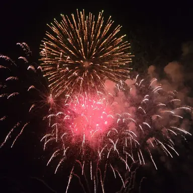 Profile image of 라더