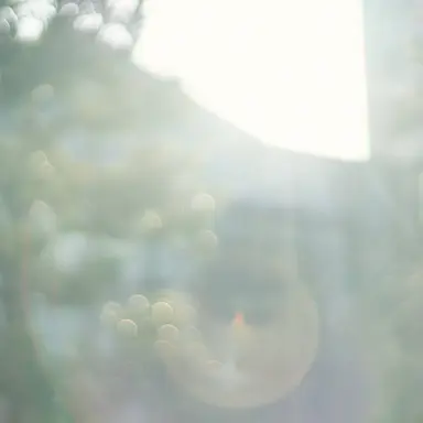 Profile image of 忠信利平