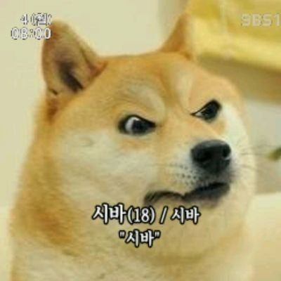 a반 대표 이미지