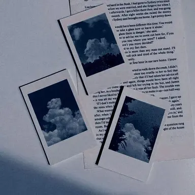 Profile image of 벨키
