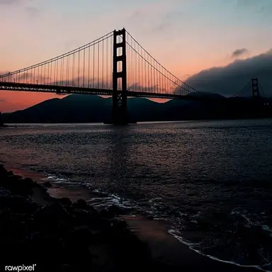 Profile image of 전체