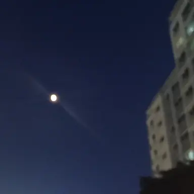 Profile image of 최우명