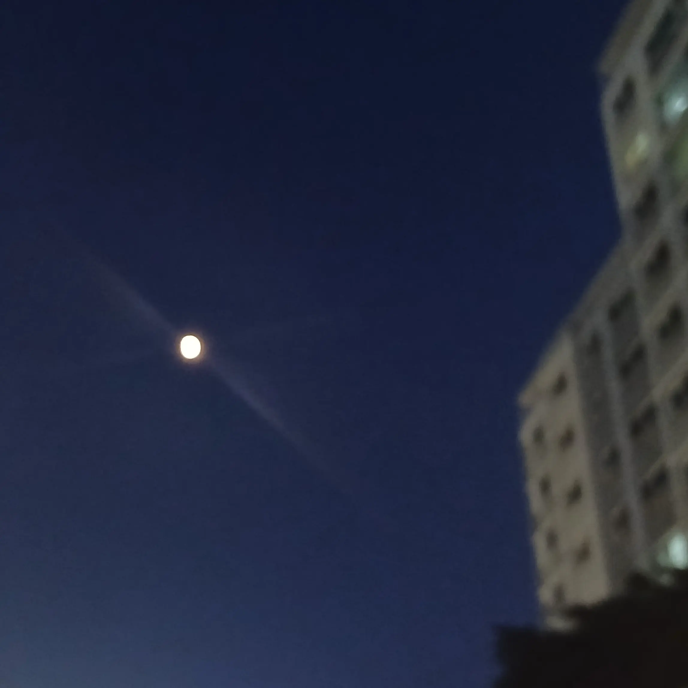 SoftJoy9778의 나한테 집착하는 변태 새아빠