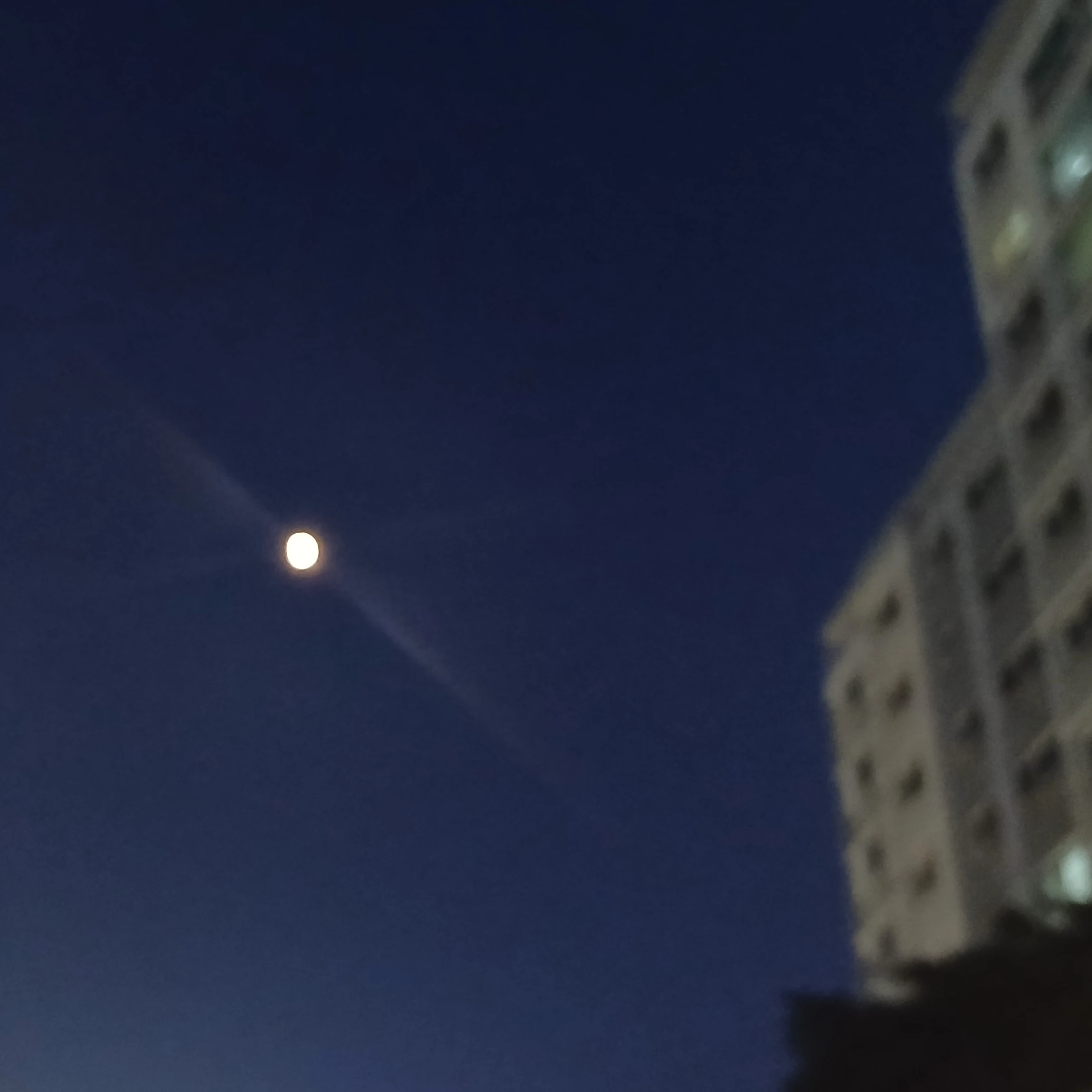 최우명