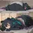 クヌギ