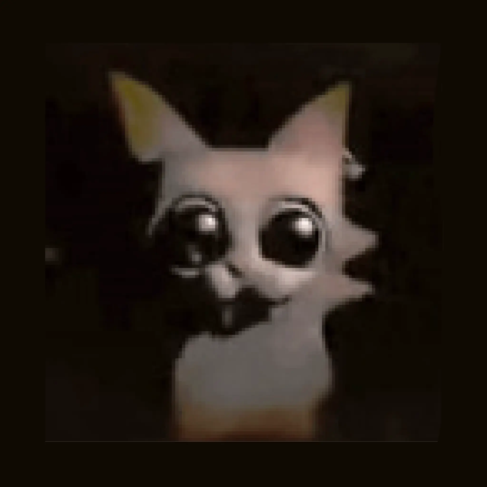 fart의 카