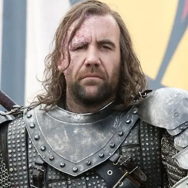 Profile image of Sandor Clegane