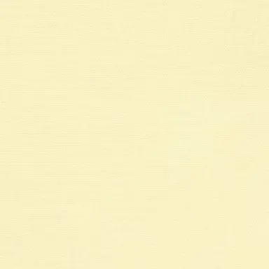 Profile image of 백우현
