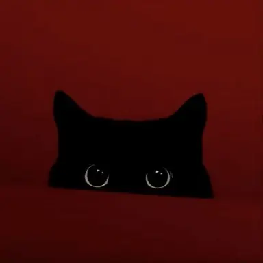 Profile image of Ryota Miyadate