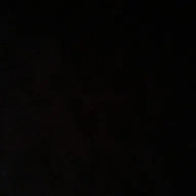 Profile image of 김여우