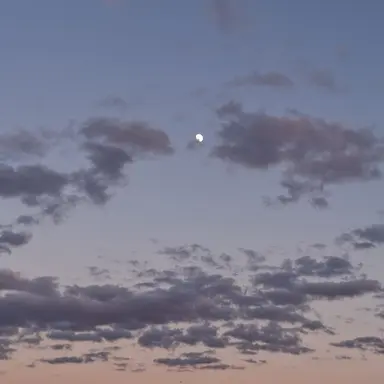 Profile image of Liam