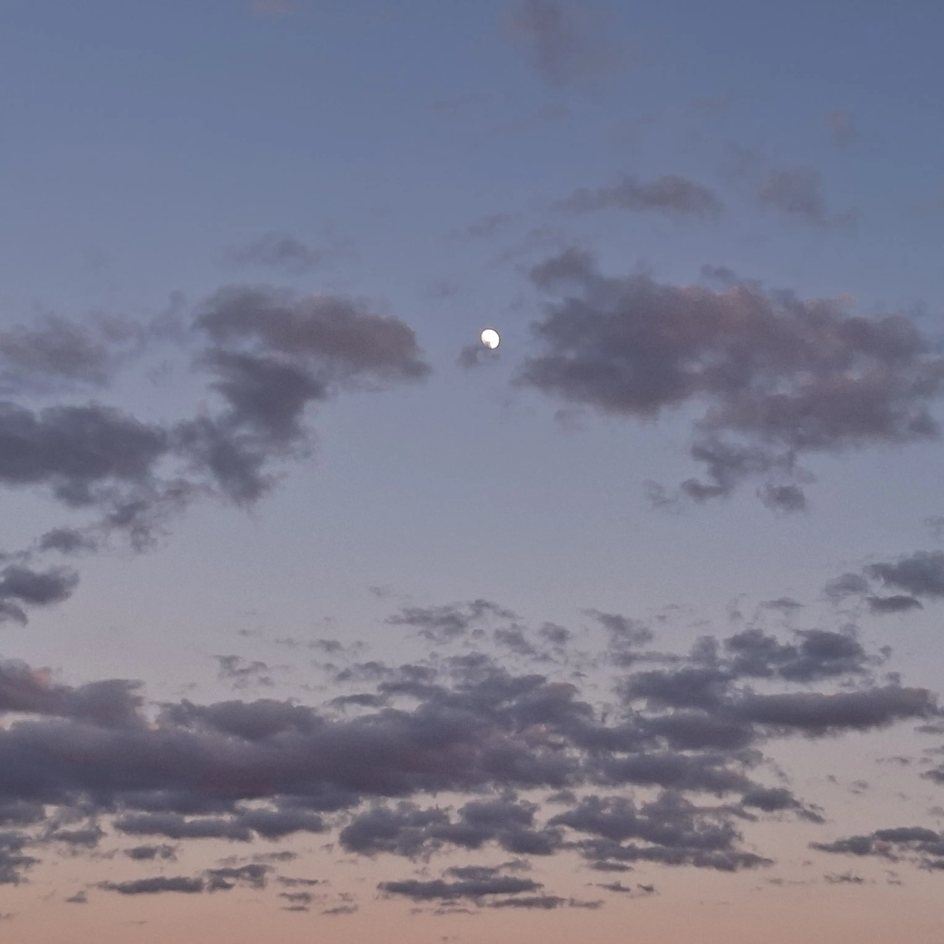 SilverSloanesinclair3의 Vampire x Vampire x wolf Bl