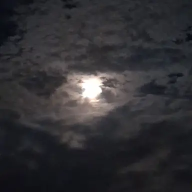 Profile image of Ethan