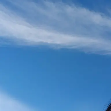 Profile image of 우유참치