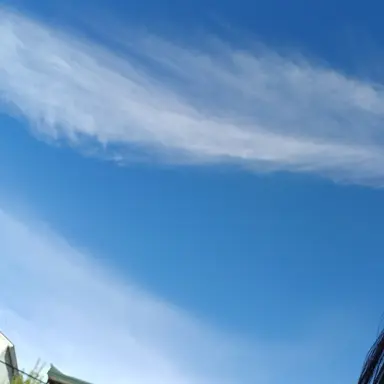 Profile image of 멜로우