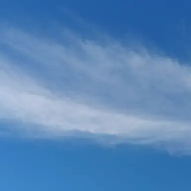 Profile image of 벨키