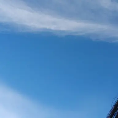 Profile image of 준브레드