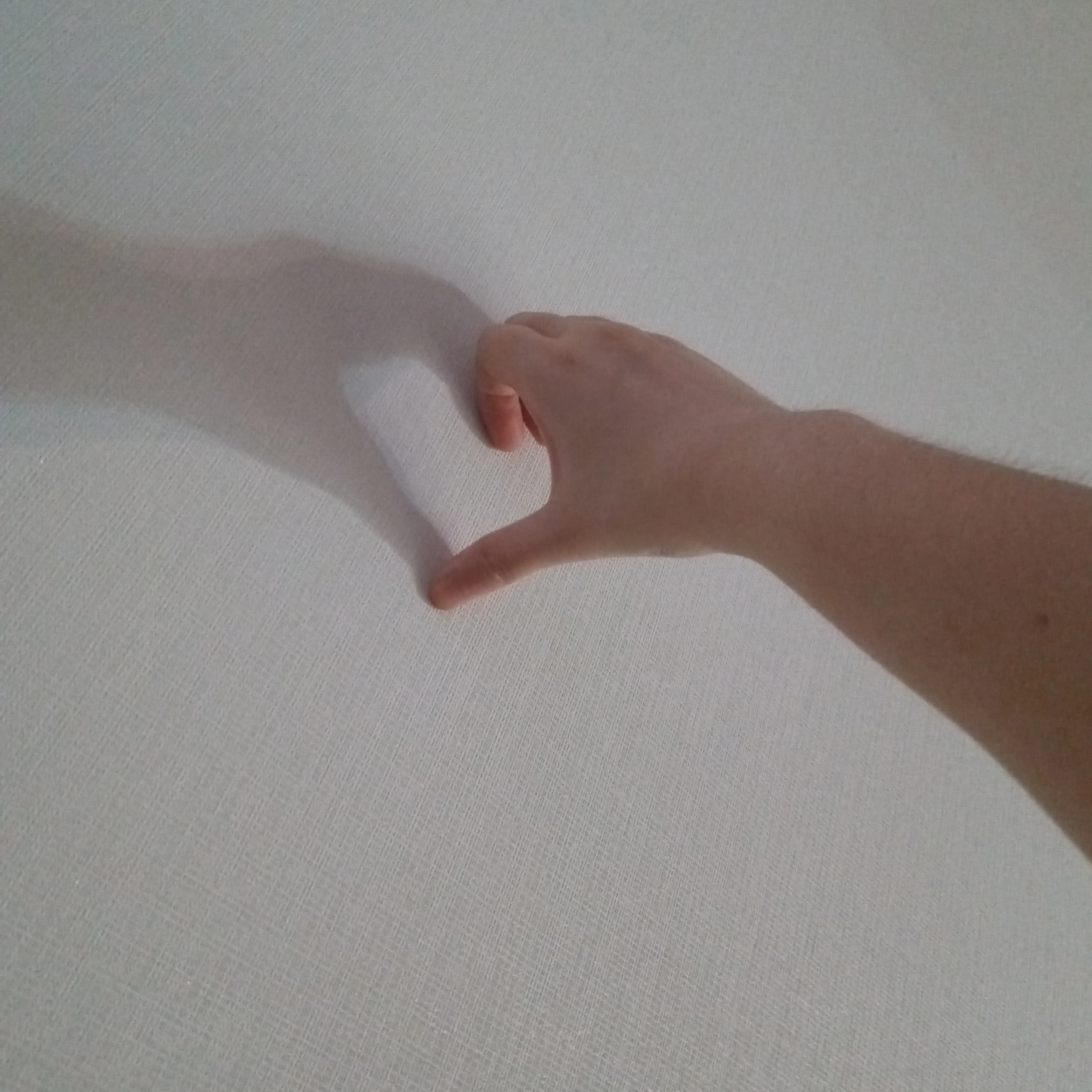 한지성