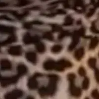 Profile image of Imani