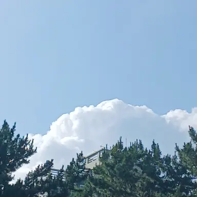 Profile image of 조인범