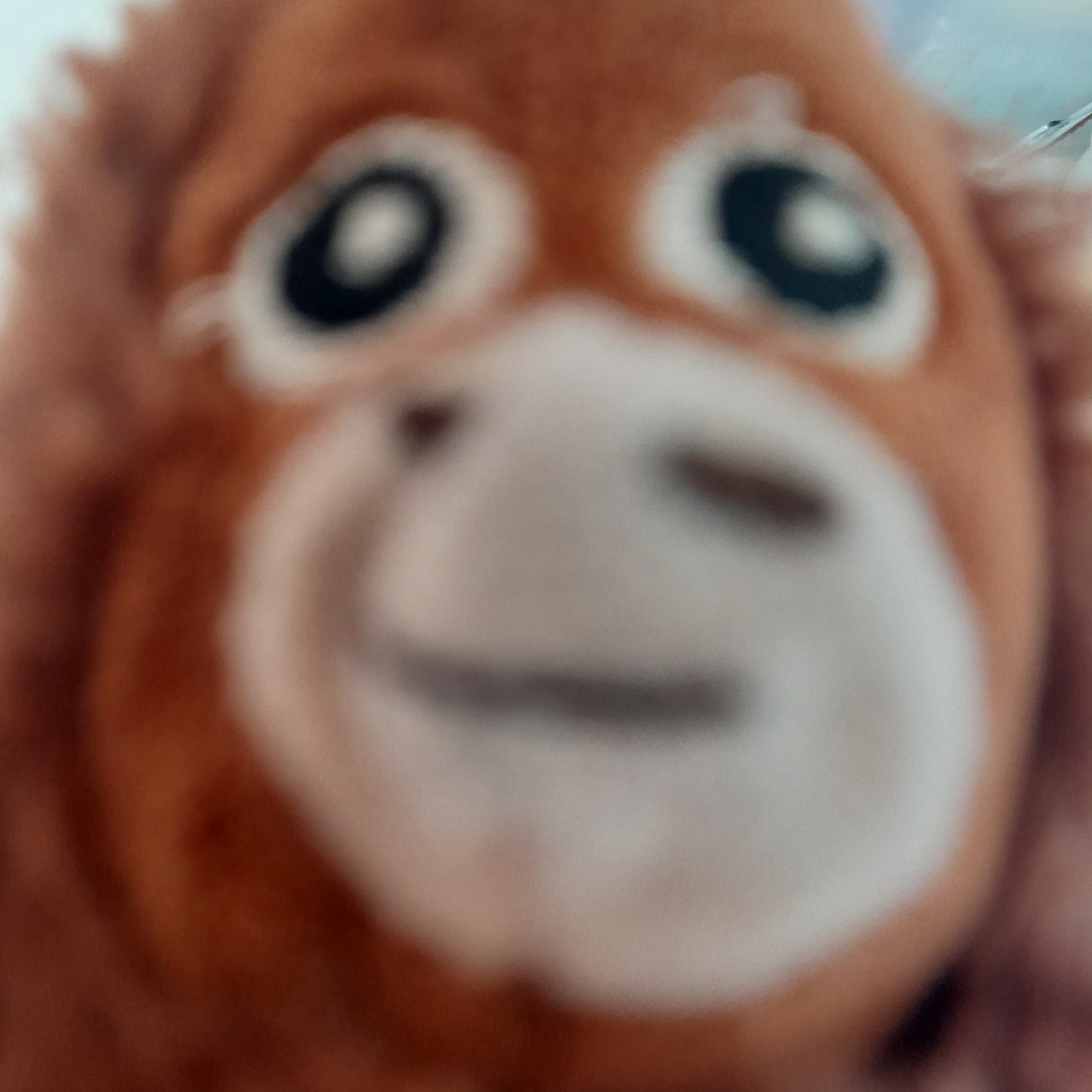 장하오