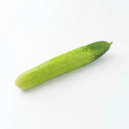 hamaoi의 그냥 오이