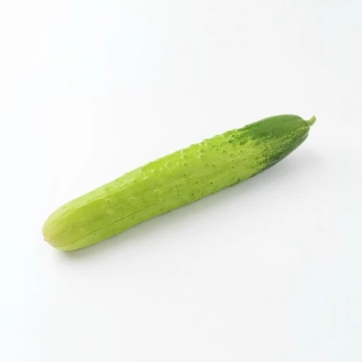 그냥 오이
