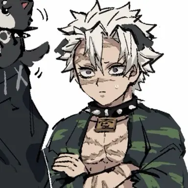 Profile image of Sanemi